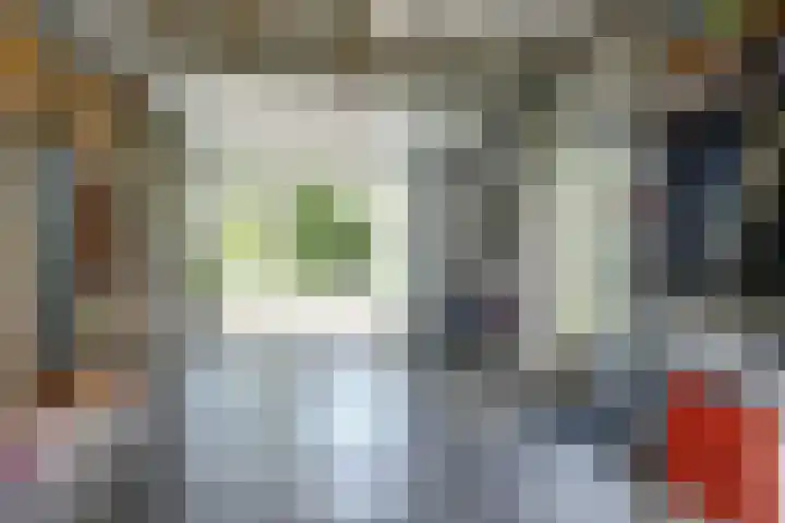 Meeuw 2 Broek op Langedijk thumbnail 27