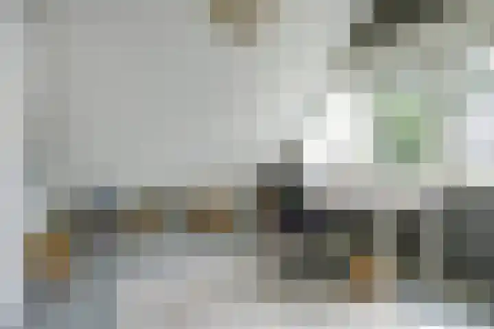 Meeuw 2 Broek op Langedijk thumbnail 30