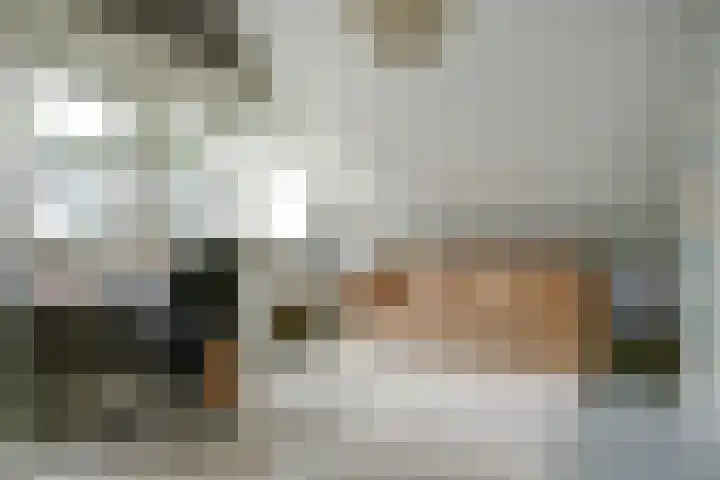 Meeuw 2 Broek op Langedijk thumbnail 31