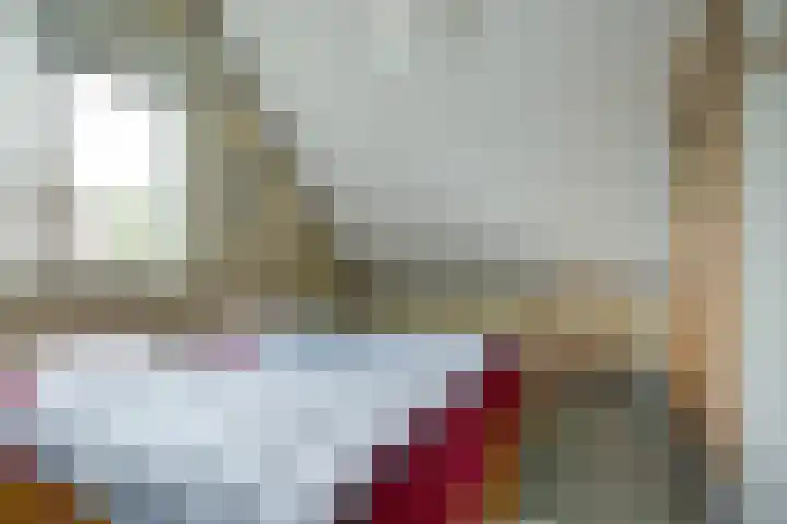 Meeuw 2 Broek op Langedijk thumbnail 32