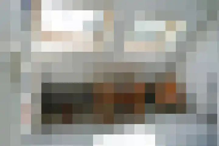 Meeuw 2 Broek op Langedijk thumbnail 33