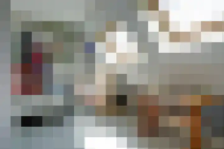 Meeuw 2 Broek op Langedijk thumbnail 34