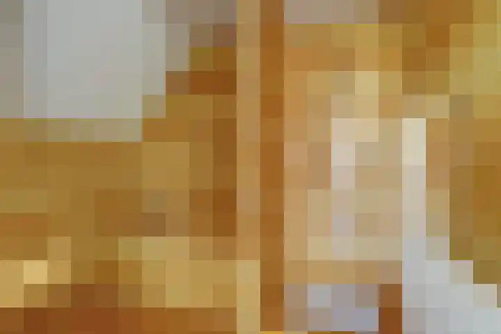 Meeuw 2 Broek op Langedijk thumbnail 36