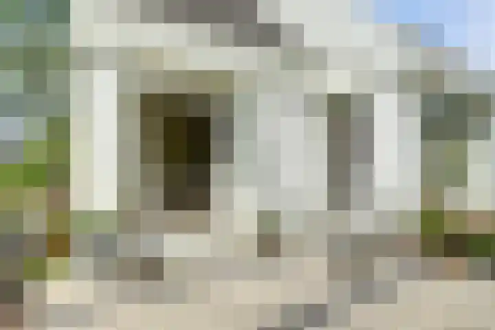 Meeuw 2 Broek op Langedijk thumbnail 39