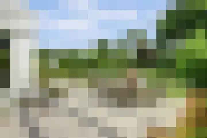 Meeuw 2 Broek op Langedijk thumbnail 41