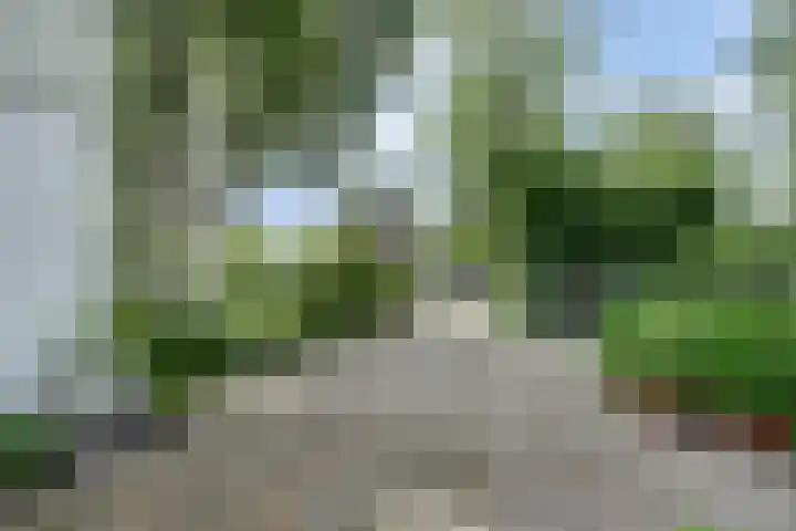 Meeuw 2 Broek op Langedijk thumbnail 8