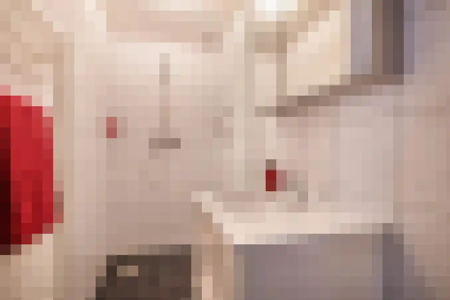 Meeuwbeemdweg 5 Venlo thumbnail 14
