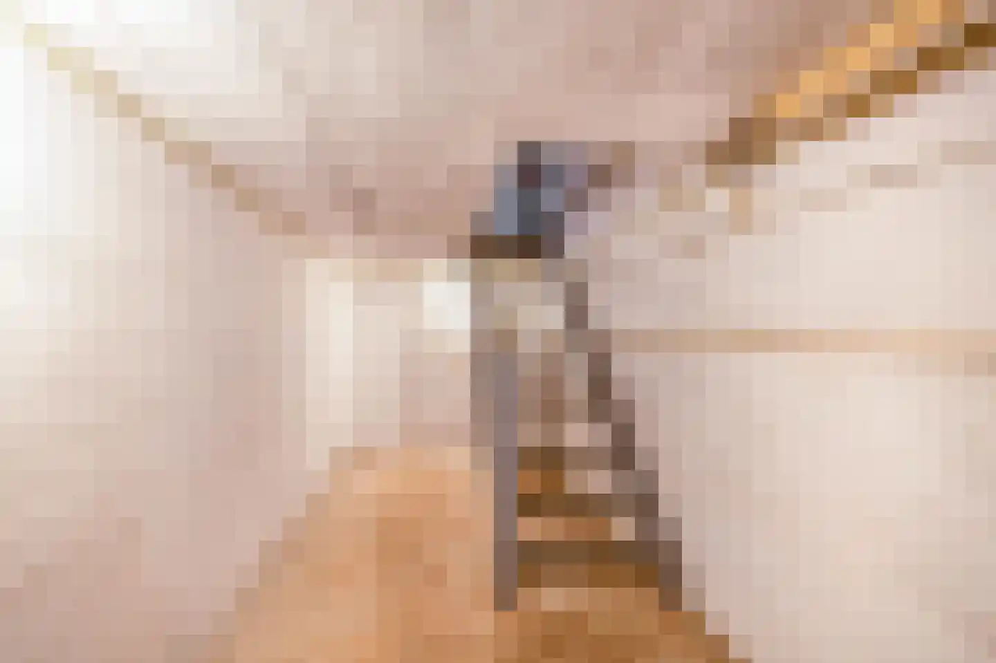 Meeuwbeemdweg 5 Venlo thumbnail 20