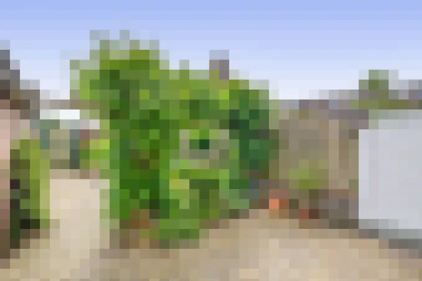 Meeuwbeemdweg 5 Venlo thumbnail 22