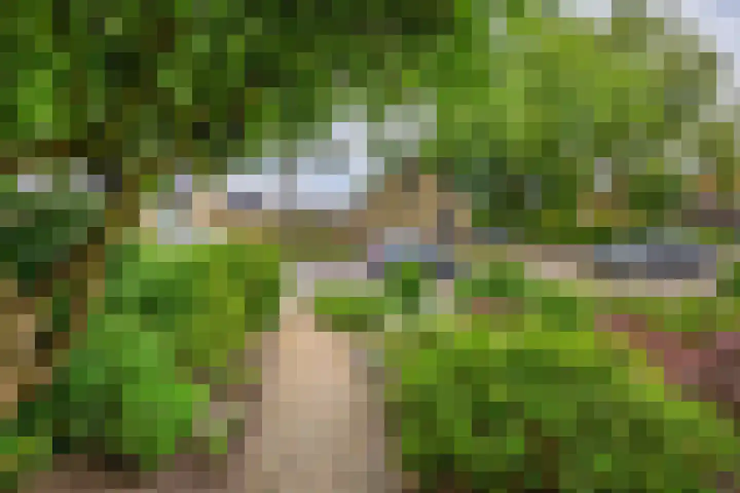 Meeuwbeemdweg 5 Venlo thumbnail 26
