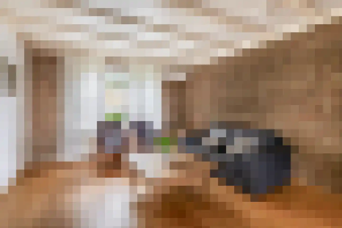 Meeuwbeemdweg 5 Venlo thumbnail 5