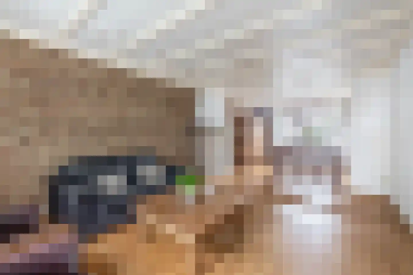 Meeuwbeemdweg 5 Venlo thumbnail 6