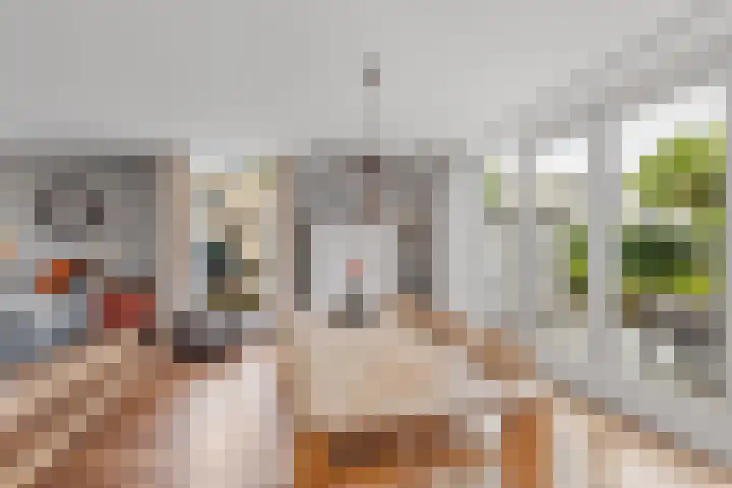 Meeuwberg 25 Roosendaal thumbnail 12
