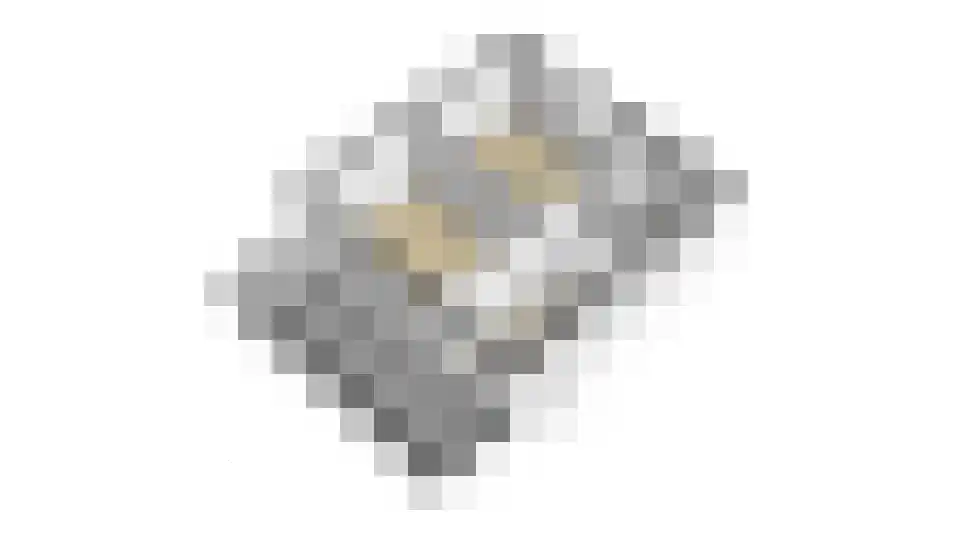 Meeuwberg 25 Roosendaal thumbnail 69