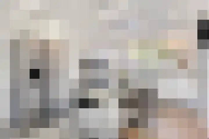 Meeuwdonk 3 Veghel thumbnail 11