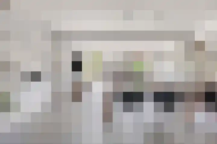 Meeuwdonk 3 Veghel thumbnail 12
