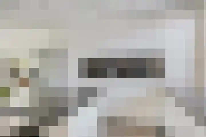 Meeuwdonk 3 Veghel thumbnail 13