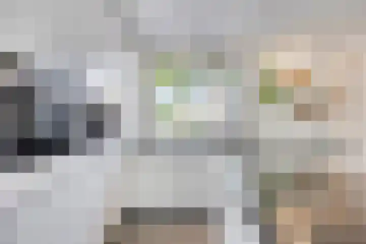 Meeuwdonk 3 Veghel thumbnail 15