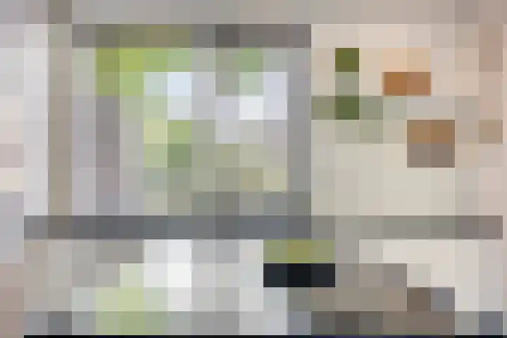 Meeuwdonk 3 Veghel thumbnail 17