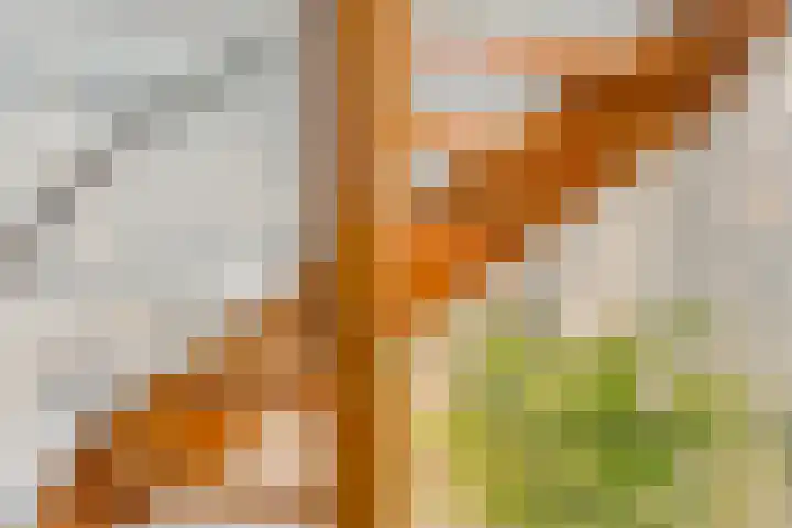Meeuwdonk 3 Veghel thumbnail 18