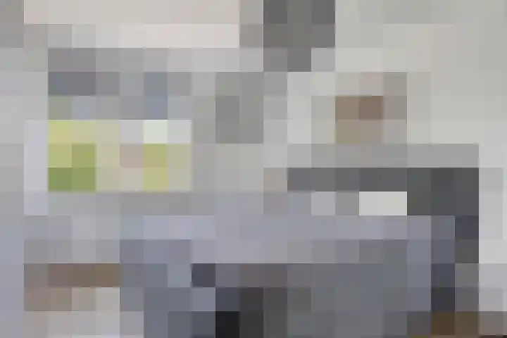 Meeuwdonk 3 Veghel thumbnail 19