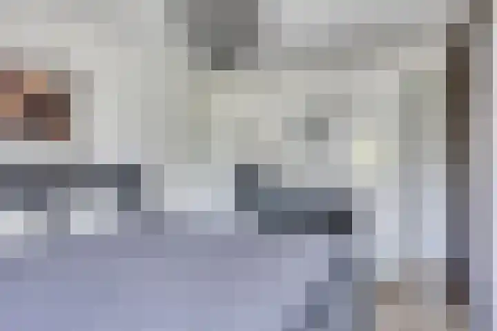 Meeuwdonk 3 Veghel thumbnail 20
