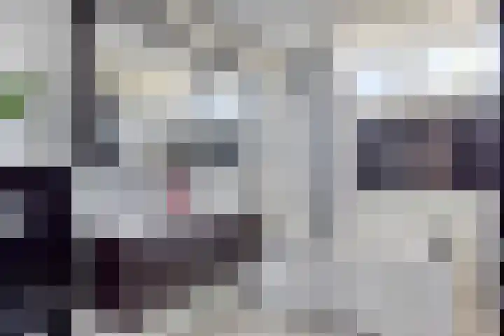 Meeuwdonk 3 Veghel thumbnail 21