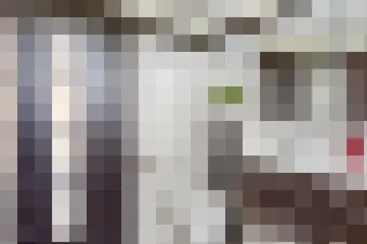 Meeuwdonk 3 Veghel thumbnail 22