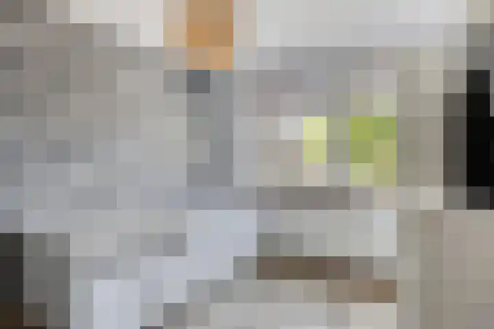 Meeuwdonk 3 Veghel thumbnail 23