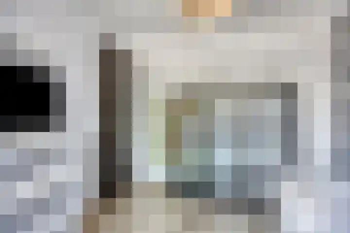 Meeuwdonk 3 Veghel thumbnail 24