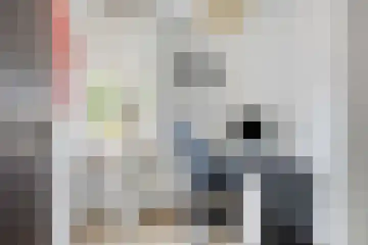 Meeuwdonk 3 Veghel thumbnail 25