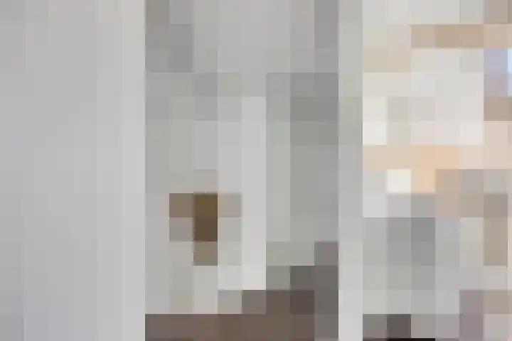 Meeuwdonk 3 Veghel thumbnail 26