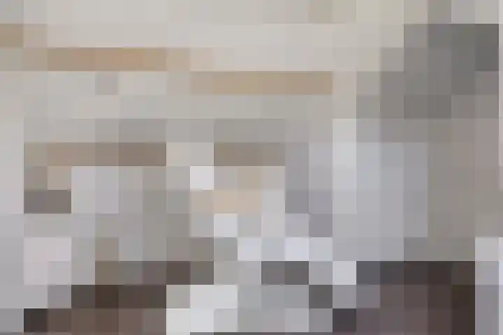 Meeuwdonk 3 Veghel thumbnail 27