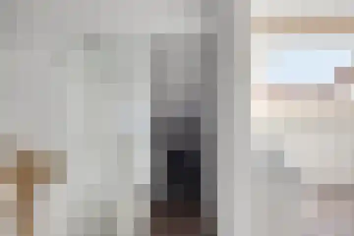 Meeuwdonk 3 Veghel thumbnail 29