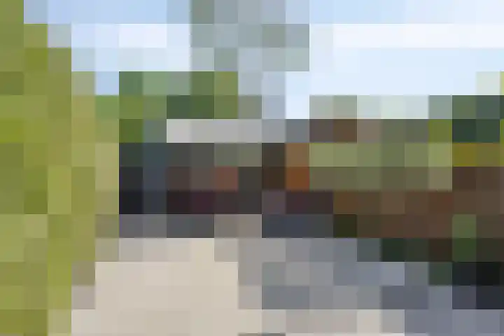 Meeuwdonk 3 Veghel thumbnail 30