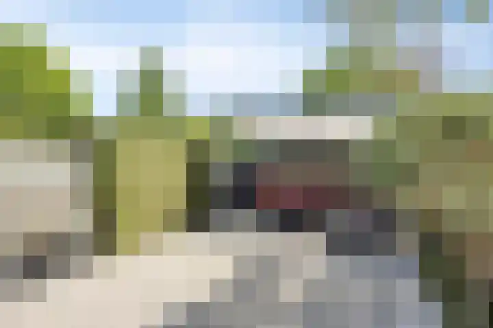 Meeuwdonk 3 Veghel thumbnail 31
