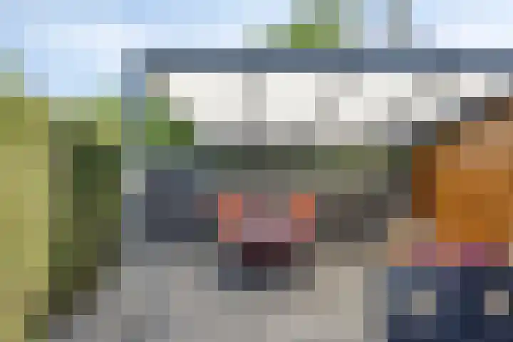 Meeuwdonk 3 Veghel thumbnail 32
