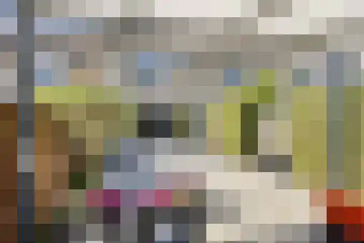 Meeuwdonk 3 Veghel thumbnail 33