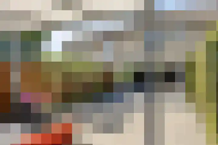 Meeuwdonk 3 Veghel thumbnail 34