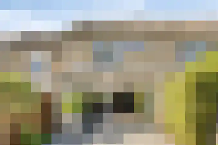 Meeuwdonk 3 Veghel thumbnail 35