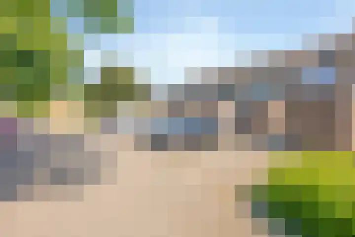 Meeuwdonk 3 Veghel thumbnail 36