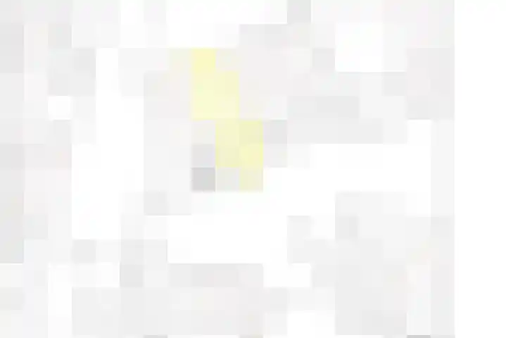 Meeuwdonk 3 Veghel thumbnail 37