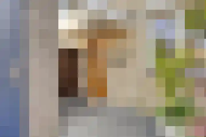 Meeuwdonk 3 Veghel thumbnail 4