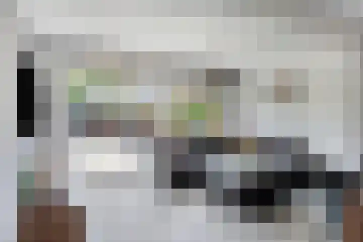 Meeuwdonk 3 Veghel thumbnail 6
