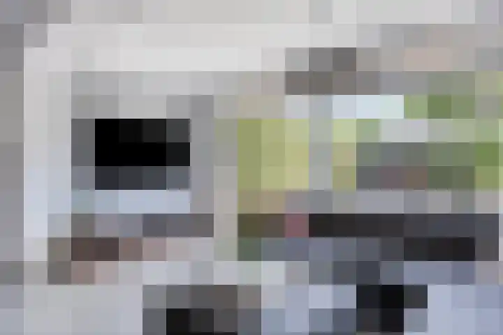 Meeuwdonk 3 Veghel thumbnail 7