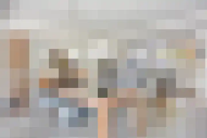 Meeuwdonk 3 Veghel thumbnail 9