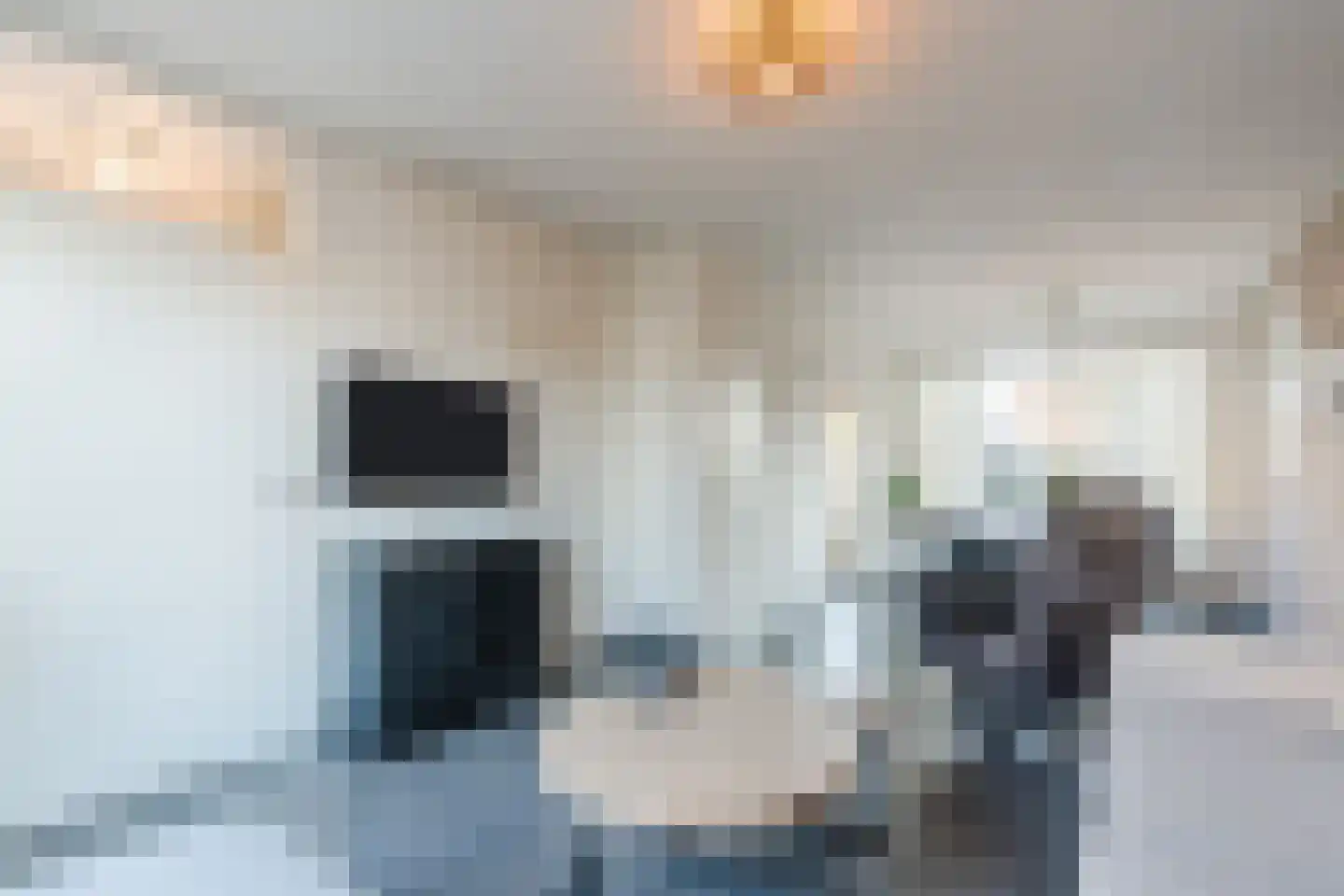 Meeuwdonk 50 Veghel thumbnail 12