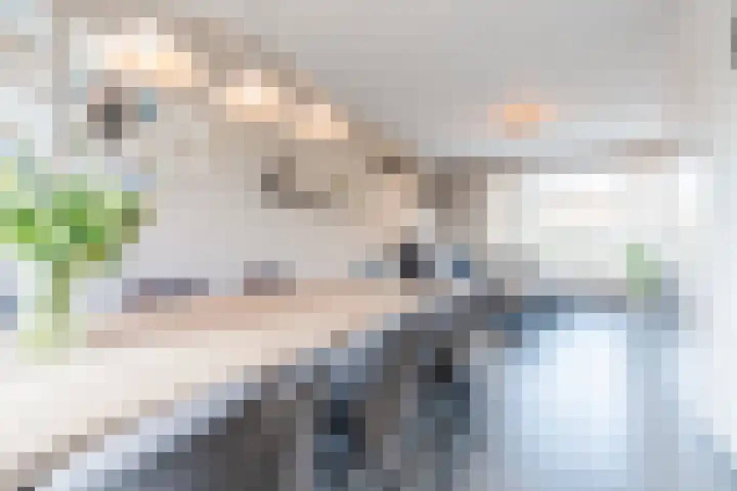 Meeuwdonk 50 Veghel thumbnail 16