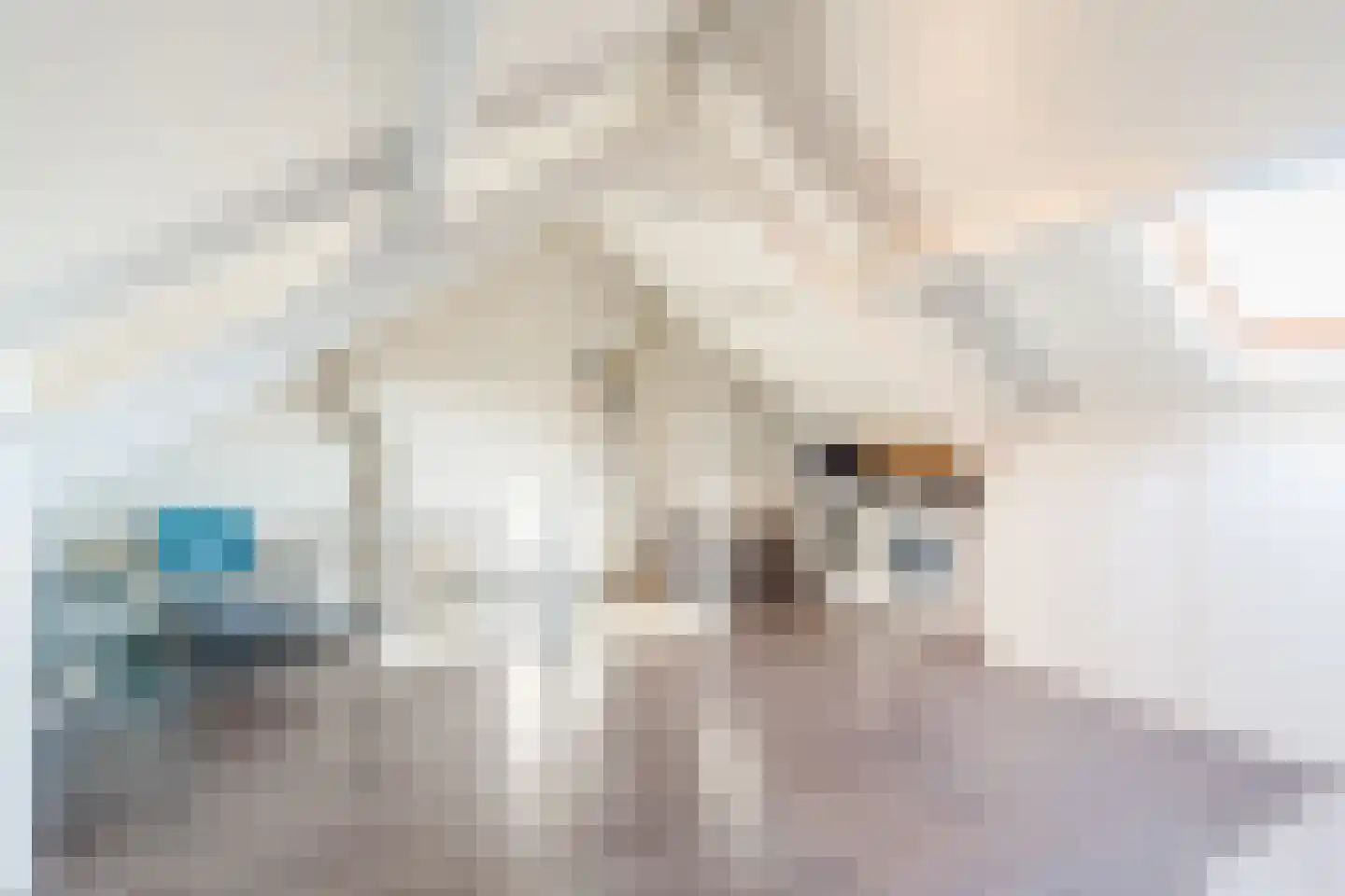 Meeuwdonk 50 Veghel thumbnail 30