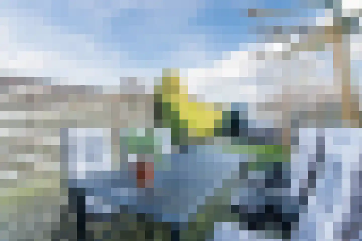 Meeuwdonk 50 Veghel thumbnail 33
